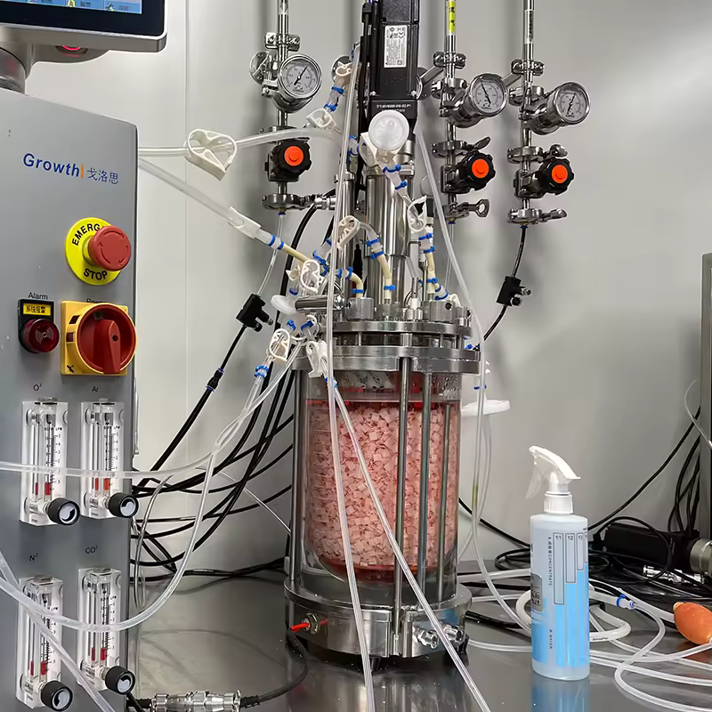 Biorreactor de laboratorio automático RITAI MICROIPOWER07 — 5