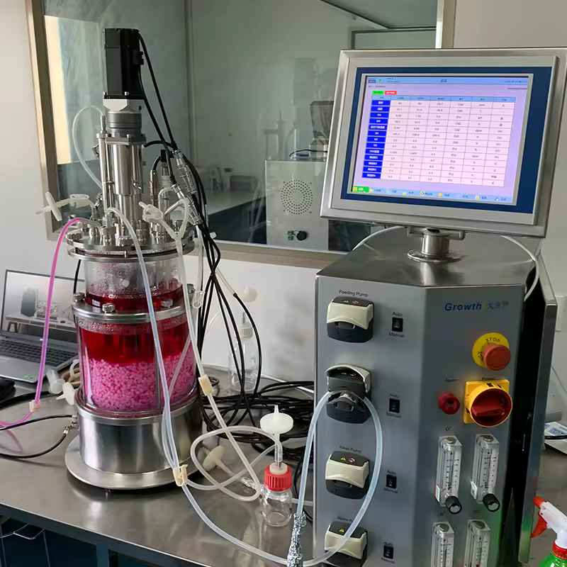 Biorreactor de laboratorio automático RITAI MICROIPOWER07 — 6