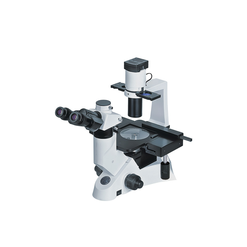 BIOBASE B FM-100 Fluorescence Biological Microscope BFM-100