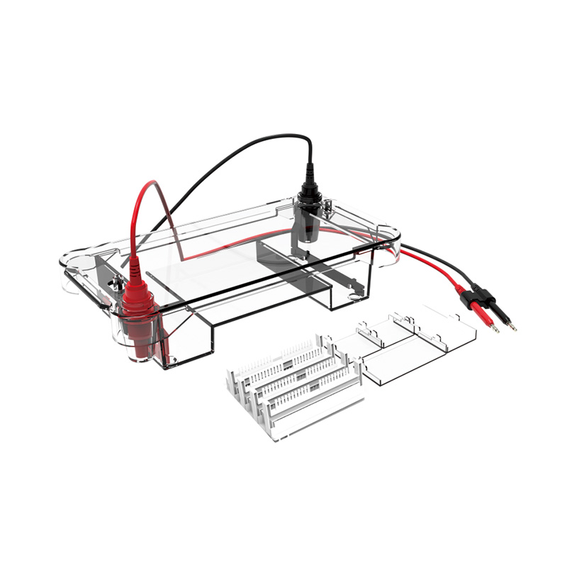 BIOBASE BK-HET02 Horizontal Electrophoresis Tank BK-HET02