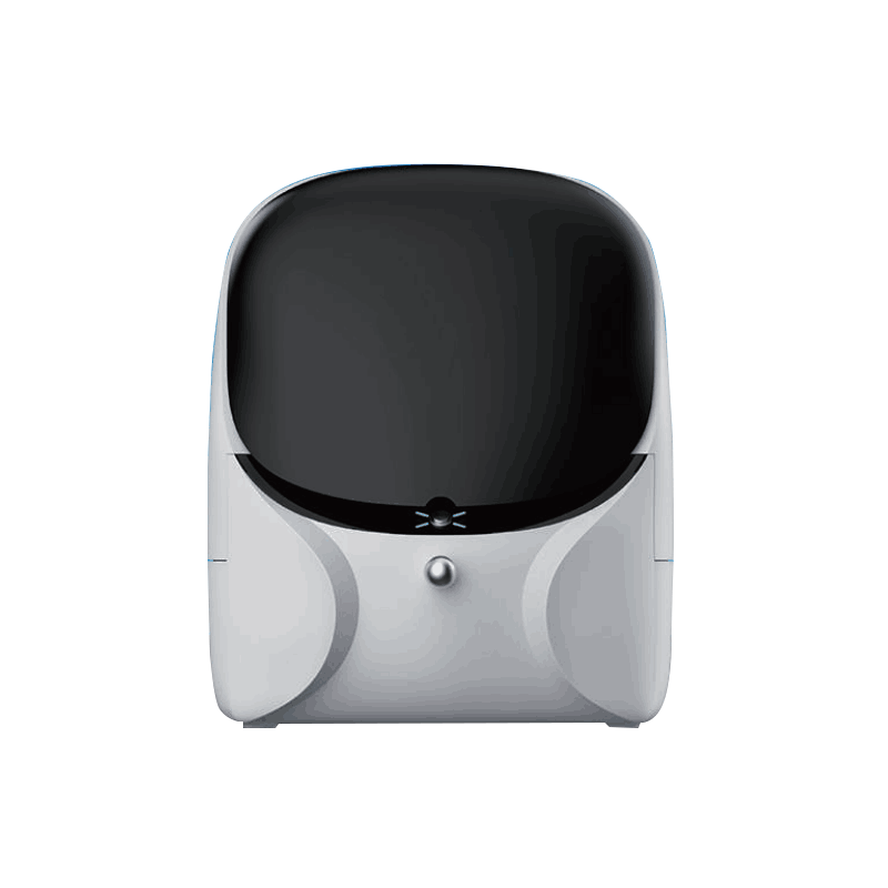 BIOBASE Nucleic Acid Fragment Analyzer – Nukleinsäure-Fragmentanalysator