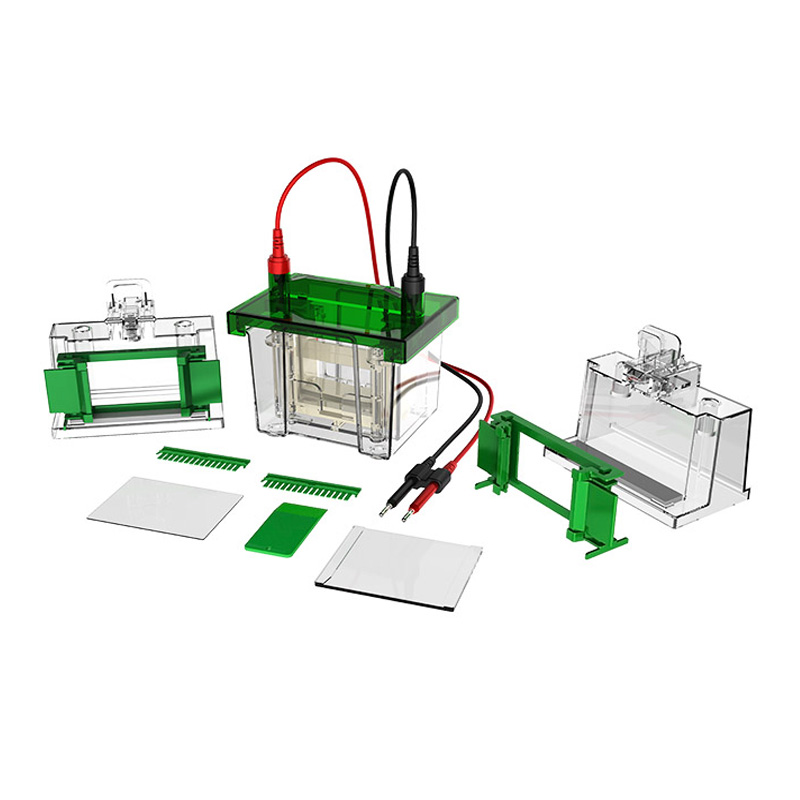 BIOBASE BK-VET01 Vertical Electrophoresis Tank BK-VET01