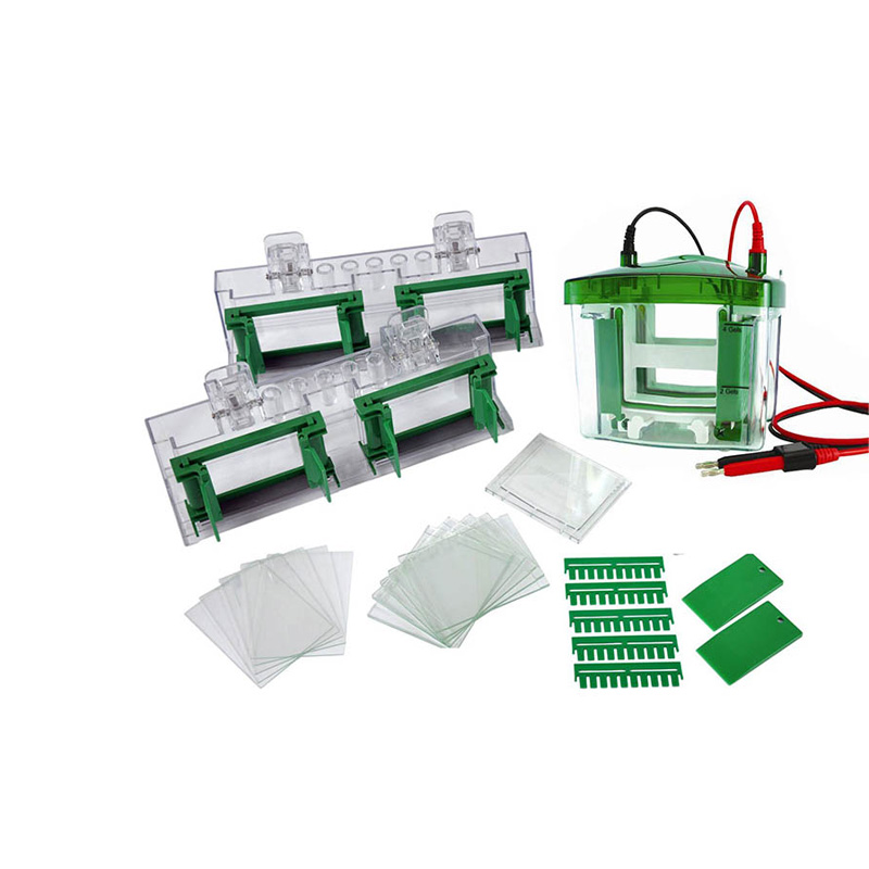 BIOBASE BK-VET02 Vertical Electrophoresis Tank BK-VET02