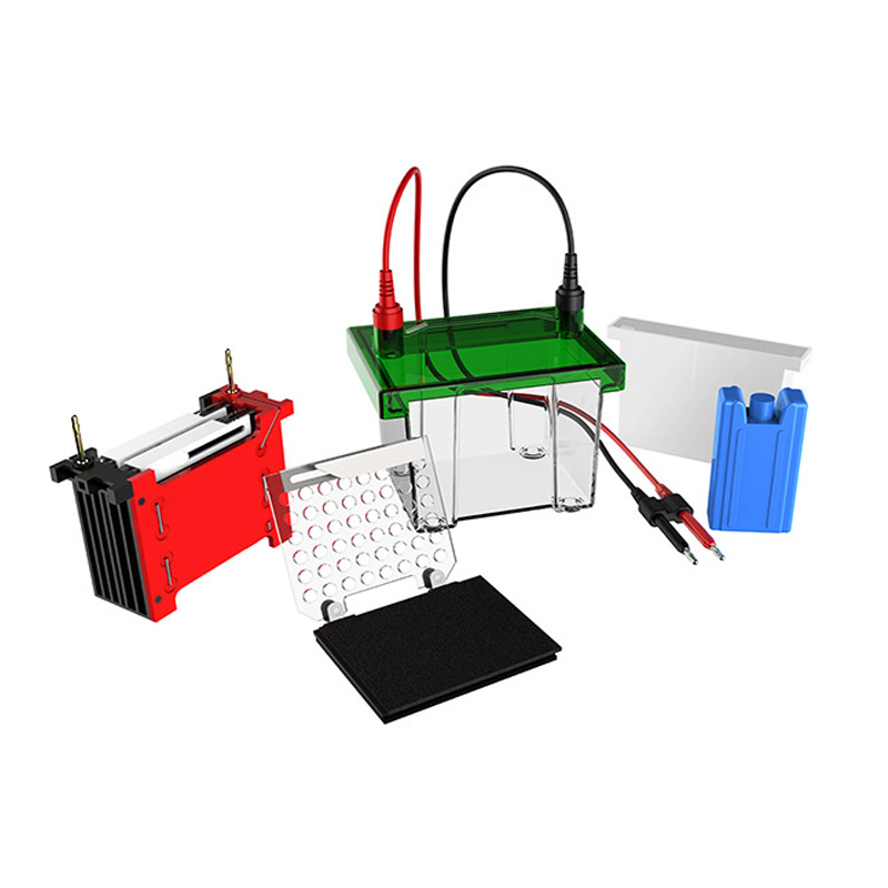 BIOBASE BK-TET01 Western Blot Electrophoresis Tank BK-TET01