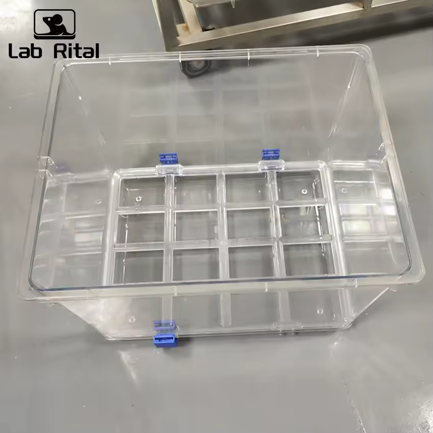 Sistema IVC Lab Rital com gaiolas ventiladas individualmente para ratinhos e ratos — 3