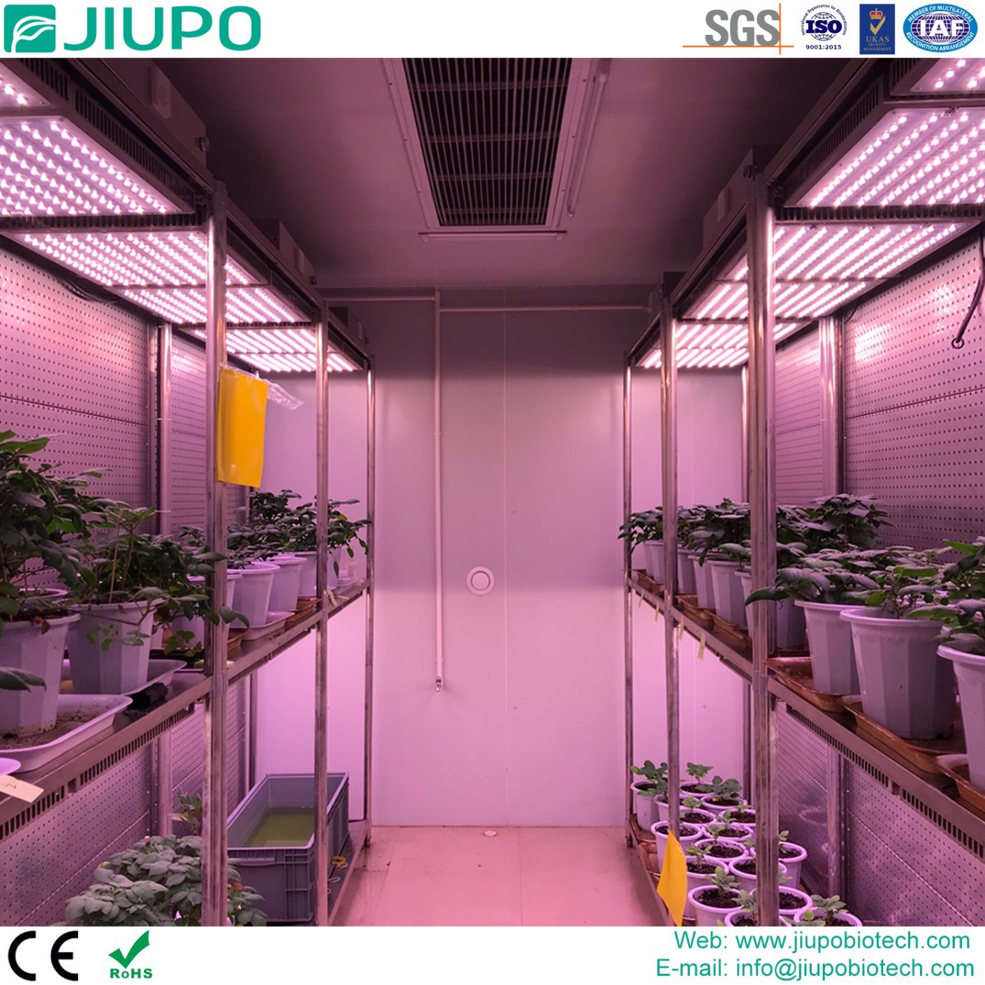 Interior da câmara walk-in de crescimento vegetal JIUPO WIPGC-01