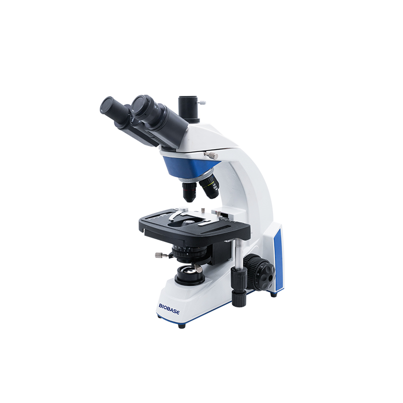 Microscopio biológico BBM-3310B BBM-3310C BIOBASE BBM-3310B / BBM-3310C — 2