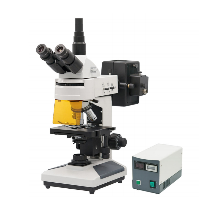 Microscópio biológico de fluorescência (customize) BIOBASE Fluorescence Biological Microscope(customize)
